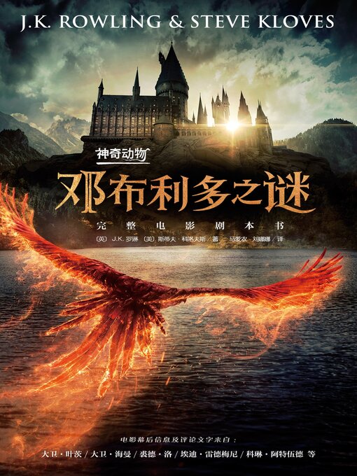 神奇动物：邓布利多之谜的封面图片